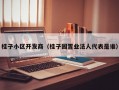 桂子小区开发商（桂子园置业法人代表是谁）